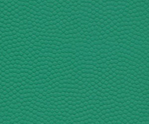 羽毛球普及型球皮紋
羽毛球普及型球皮紋